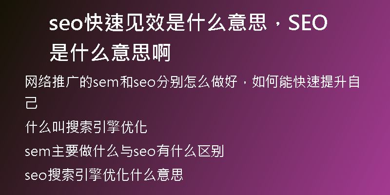 seo快速见效是什么意思，SEO是什么意思啊