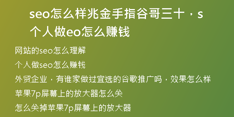 seo怎么样兆金手指谷哥三十，个人做seo怎么赚钱