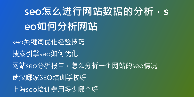 seo怎么进行网站数据的分析,seo如何分析网站