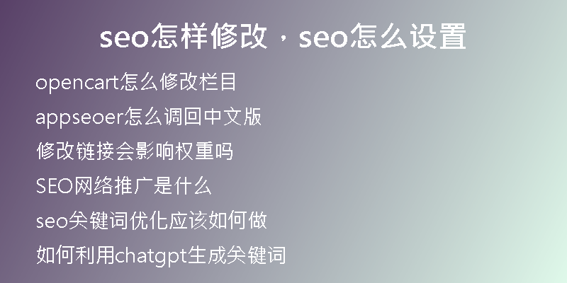 seo怎样修改，seo怎么设置