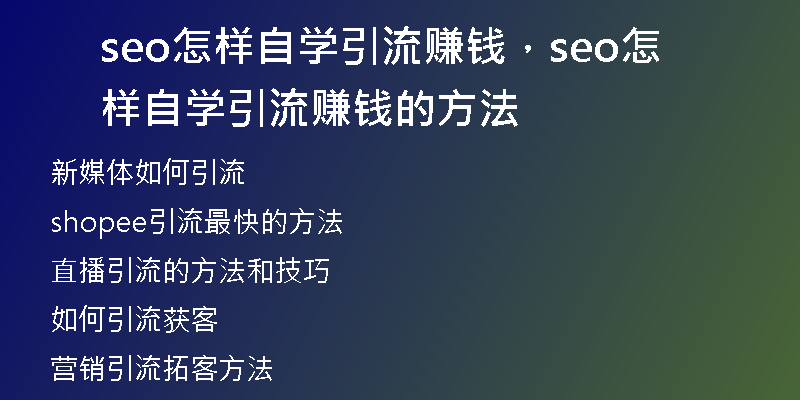 seo怎样自学引流赚钱，seo怎样自学引流赚钱的方法