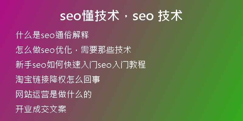 seo懂技术，seo 技术