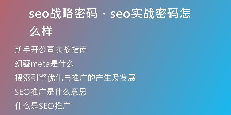 seo战略密码，seo实战密码怎么样