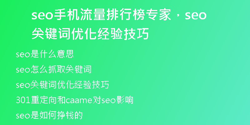 seo手机流量排行榜专家，seo关键词优化经验技巧
