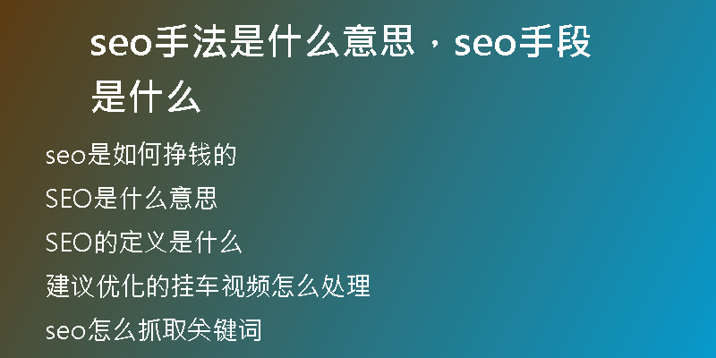 seo手法是什么意思，seo手段是什么