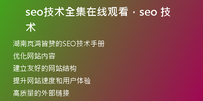 seo技术全集在线观看，seo 技术