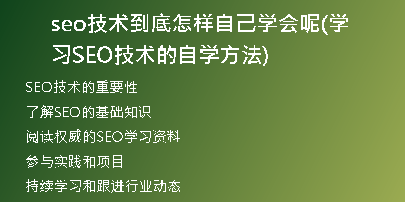 seo技术到底怎样自己学会呢(学习SEO技术的自学方法)