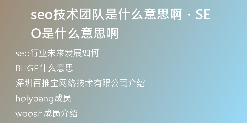 seo技术团队是什么意思啊，SEO是什么意思啊