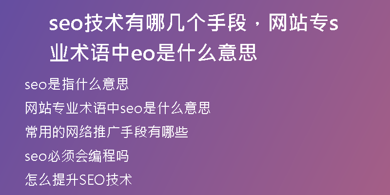 seo技术有哪几个手段，网站专业术语中seo是什么意思