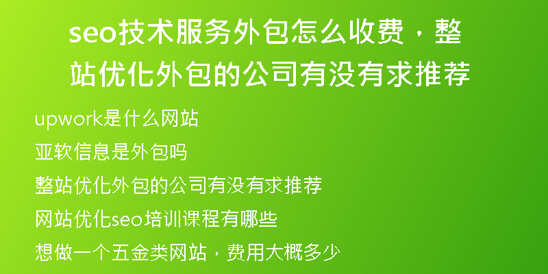 seo技术服务外包怎么收费，整站优化外包的公司有没有求推荐