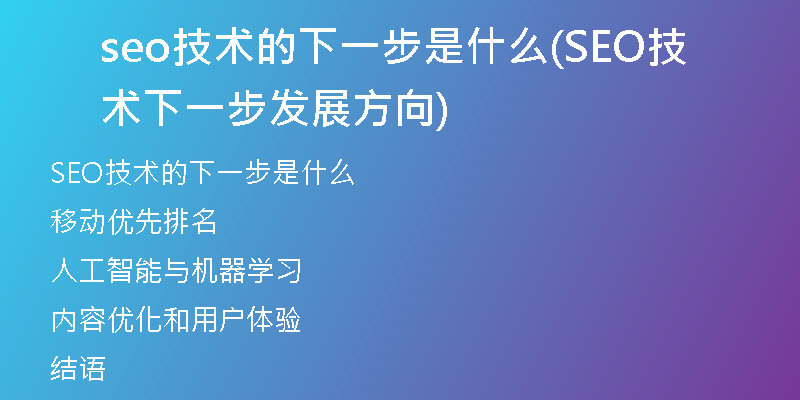 seo技术的下一步是什么(SEO技术下一步发展方向)