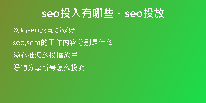 seo投入有哪些，seo投放
