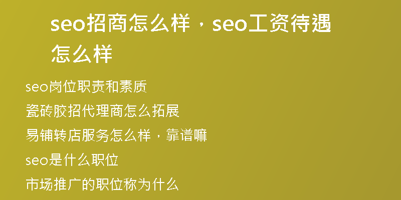 seo招商怎么样，seo工资待遇怎么样