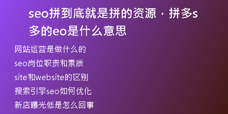 seo拼到底就是拼的资源，拼多多的seo是什么意思