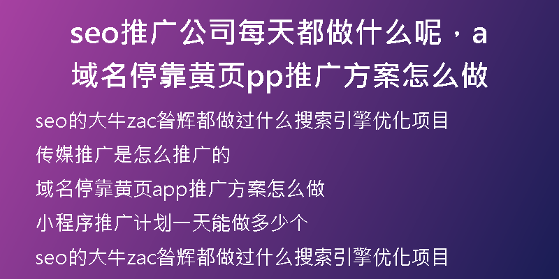 seo推广公司每天都做什么呢，域名停靠黄页app推广方案怎么做