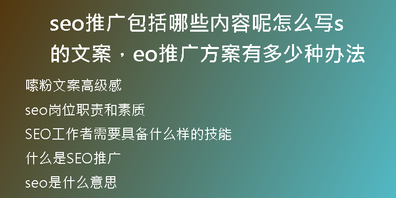 seo推广包括哪些内容呢怎么写的文案，seo推广方案有多少种办法