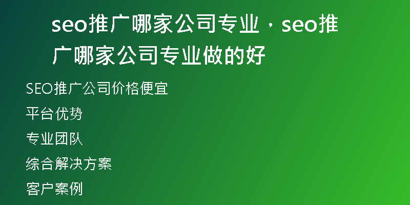 seo推广哪家公司专业，seo推广哪家公司专业做的好