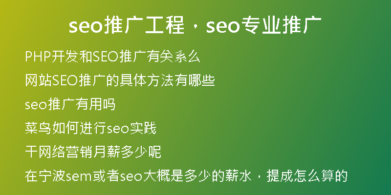 seo推广工程，seo专业推广