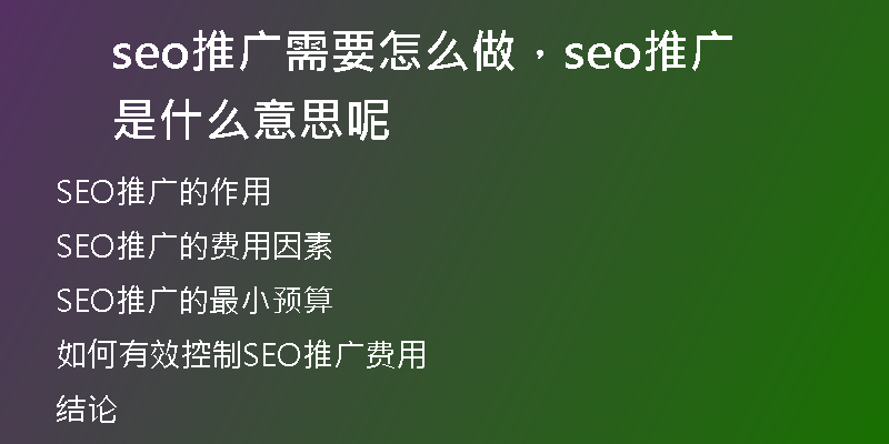seo推广需要怎么做,seo推广是什么意思呢