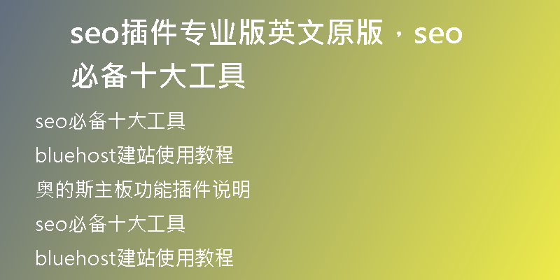 seo插件专业版英文原版，seo必备十大工具