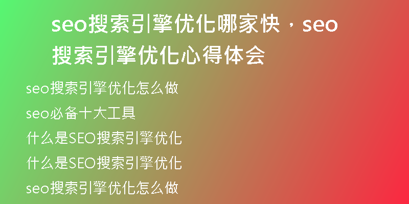 seo搜索引擎优化哪家快，seo搜索引擎优化心得体会