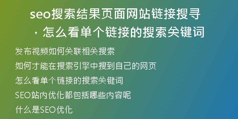 seo搜索结果页面网站链接搜寻，怎么看单个链接的搜索关键词
