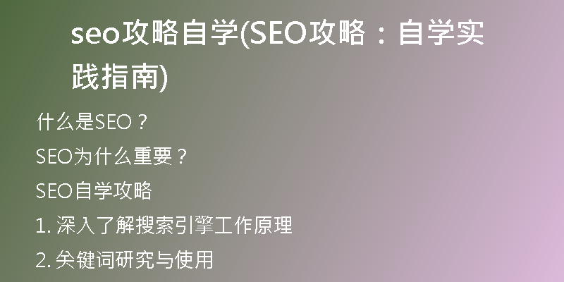 seo攻略自学(SEO攻略：自学实践指南)