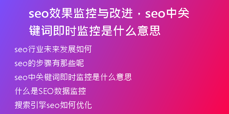 seo效果监控与改进，seo中关键词即时监控是什么意思