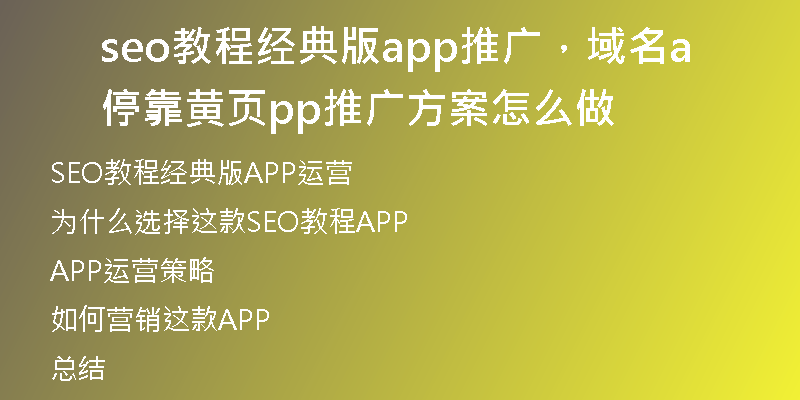 seo教程经典版app推广,域名停靠黄页app推广方案怎么做