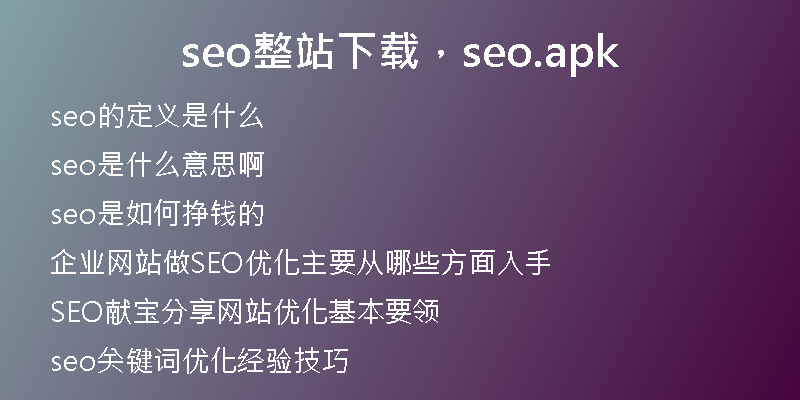seo整站下载，seo.apk