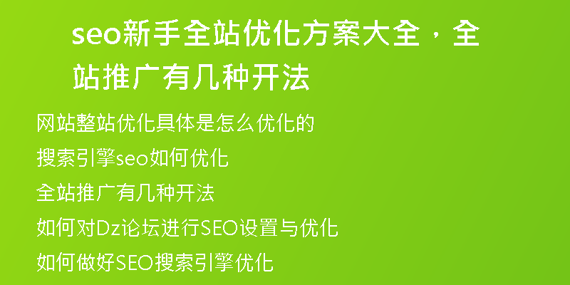 seo新手全站优化方案大全，全站推广有几种开法