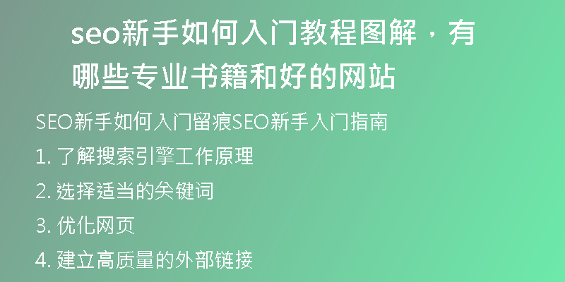 seo新手如何入门教程图解，有哪些专业书籍和好的网站