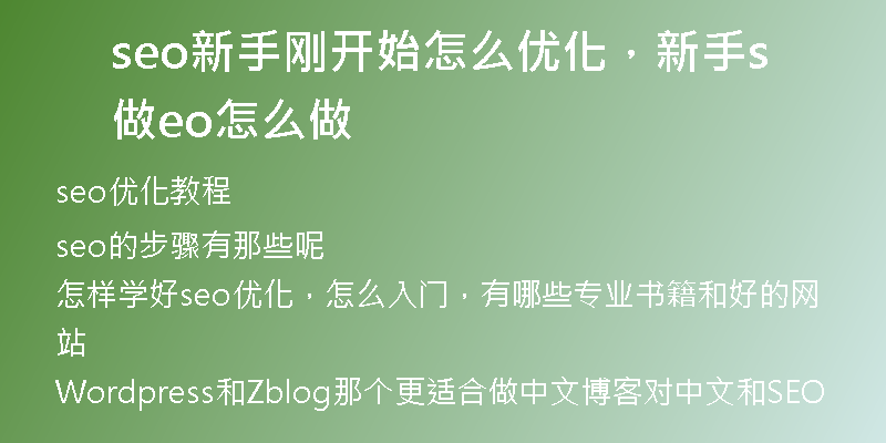 seo新手刚开始怎么优化，新手做seo怎么做