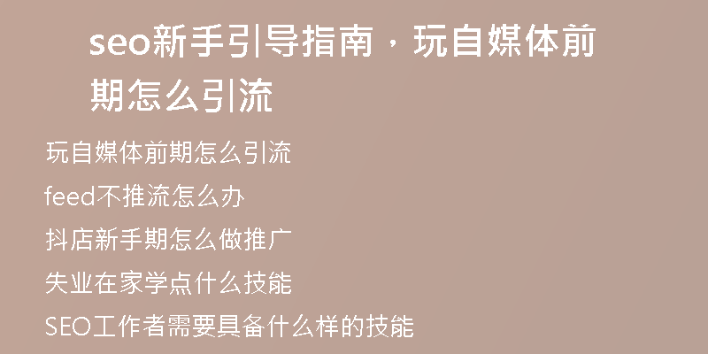 seo新手引导指南，玩自媒体前期怎么引流