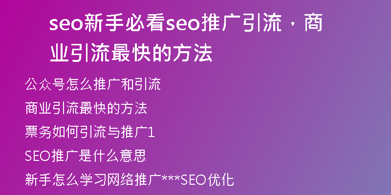 seo新手必看seo推广引流，商业引流最快的方法