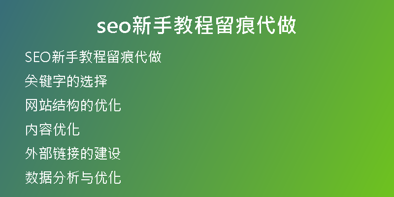 seo新手教程留痕代做