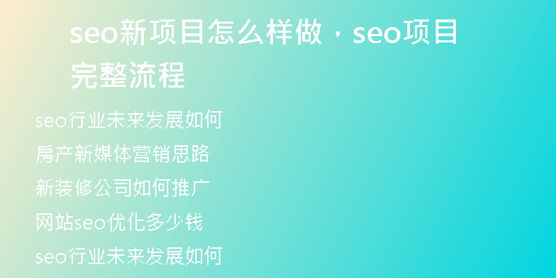 seo新项目怎么样做，seo项目完整流程