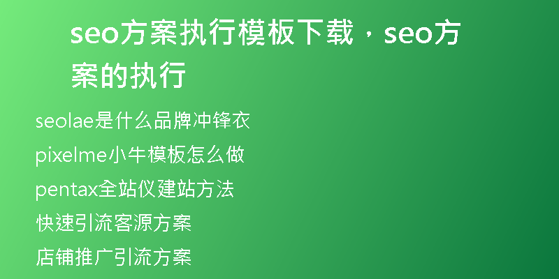 seo方案执行模板下载,seo方案的执行