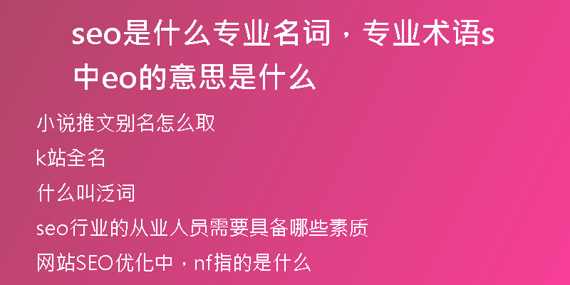 seo是什么专业名词，专业术语中seo的意思是什么