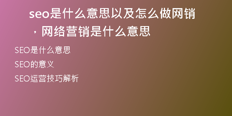 seo是什么意思以及怎么做网销，网络营销是什么意思