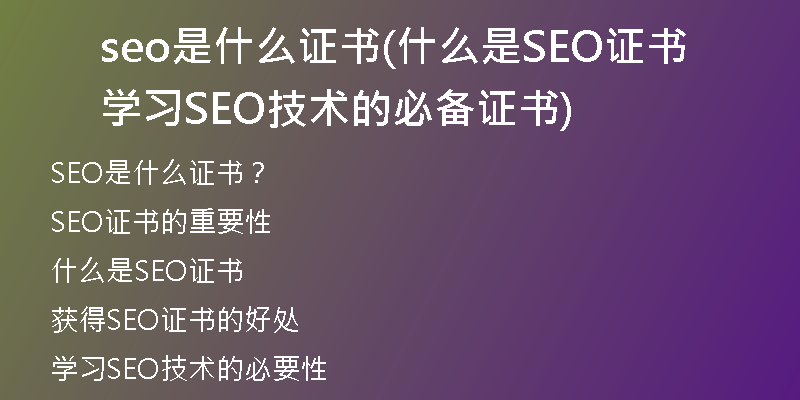 seo是什么证书(什么是SEO证书学习SEO技术的必备证书)
