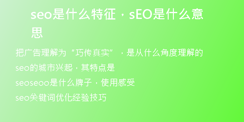 seo是什么特征，sEO是什么意思