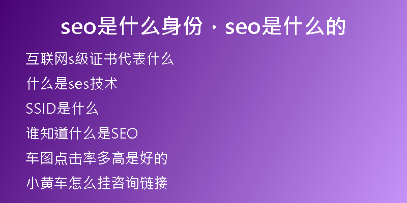 seo是什么身份，seo是什么的