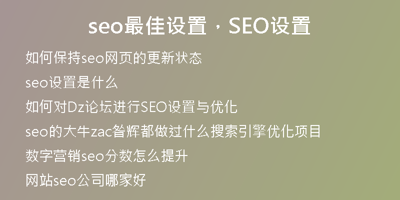 seo最佳设置，SEO设置
