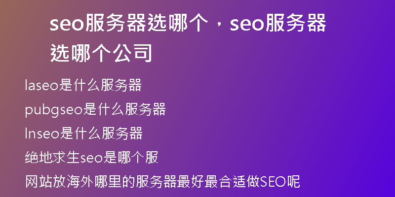 seo服务器选哪个，seo服务器选哪个公司
