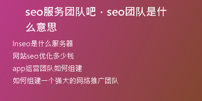 seo服务团队吧，seo团队是什么意思