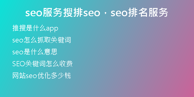 seo服务搜排seo，seo排名服务