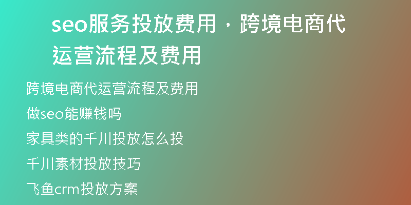 seo服务投放费用，跨境电商代运营流程及费用