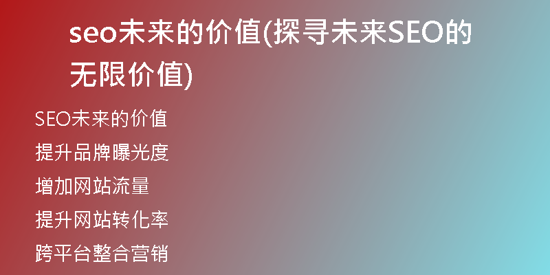 seo未来的价值(探寻未来SEO的无限价值)