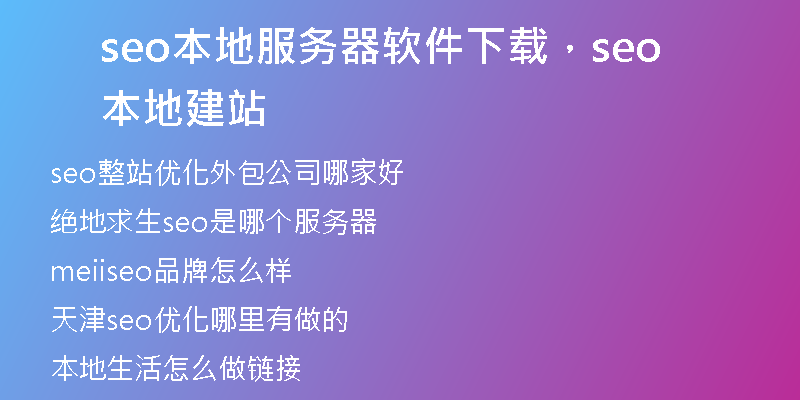 seo本地服务器软件下载，seo本地建站